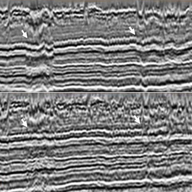 TGS_website_Land_Seismic (3)